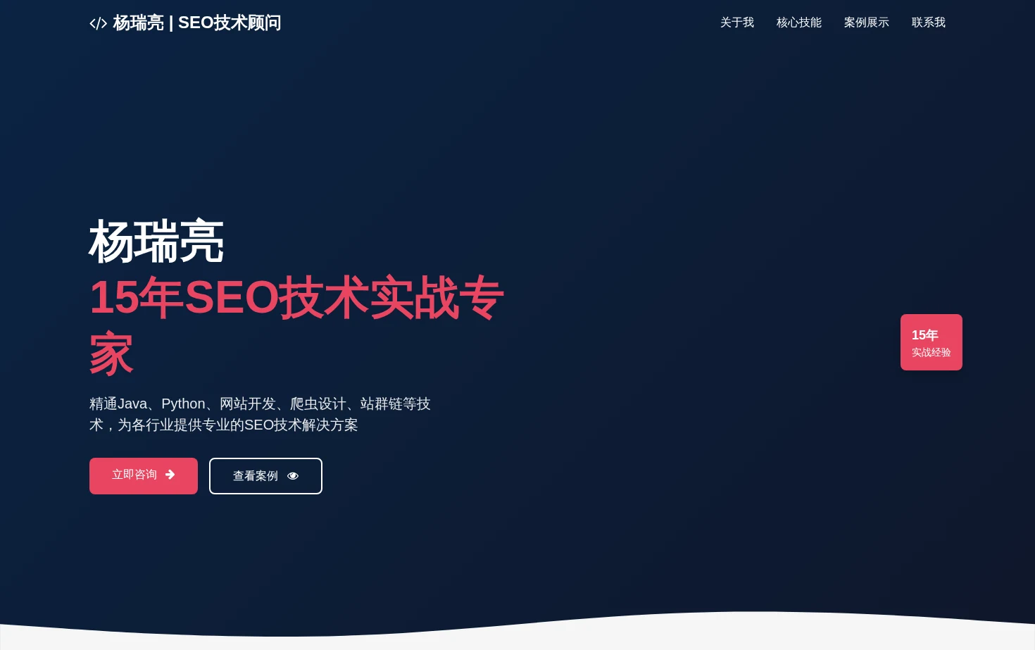 郑州网站SEO技术顾问阿亮 页面快照